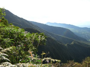 Le tour du brûlé