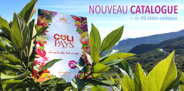 Catalogue de Letchis Noël 2015 Colipays