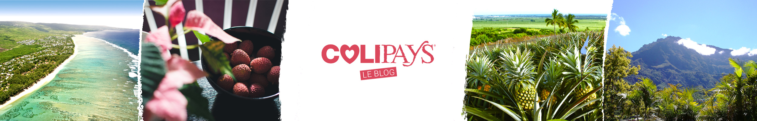 COLIPAYS – Le blog