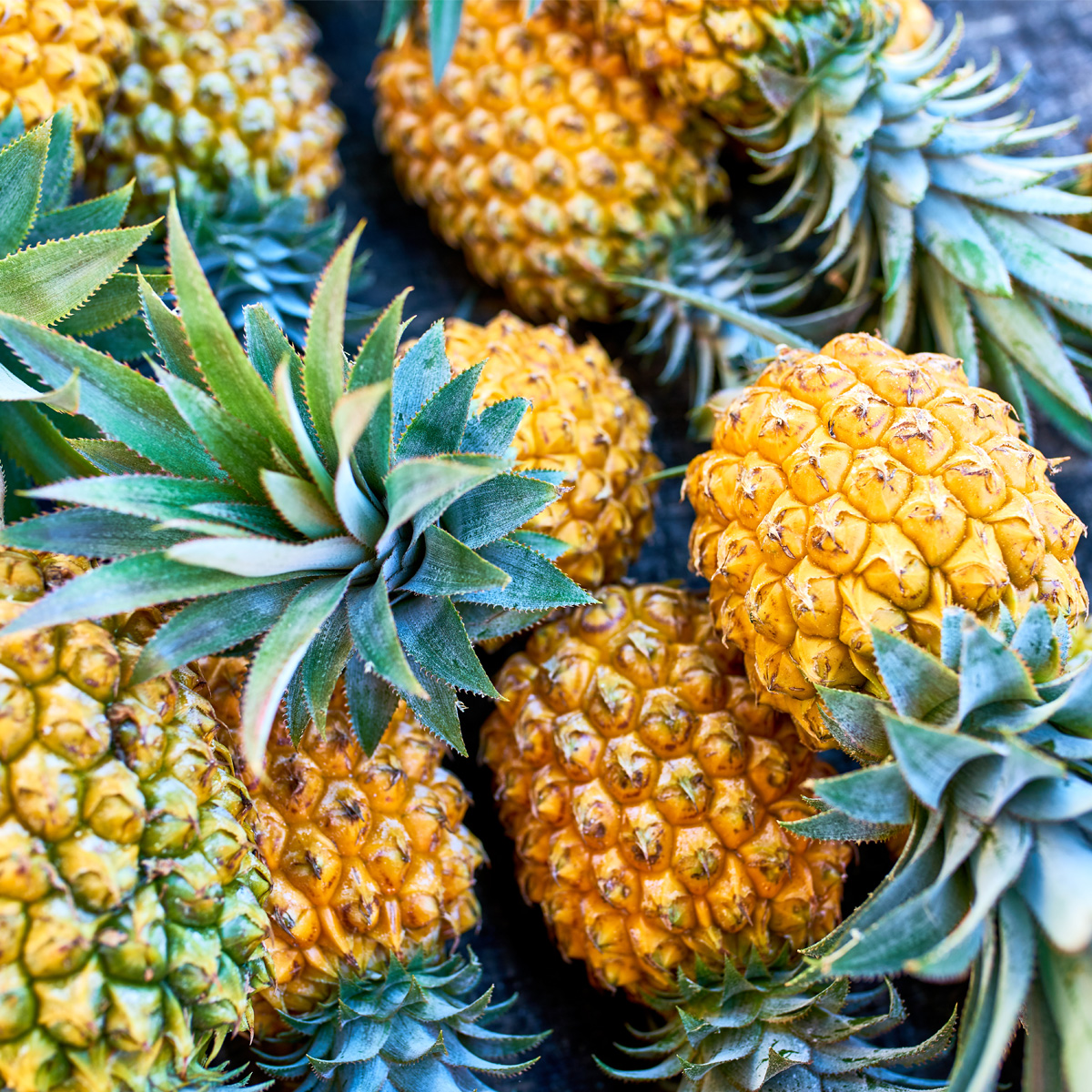 L'ananas, le fruit de la saison à la Réunion