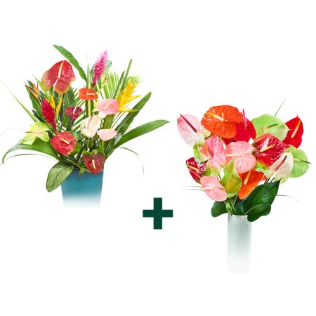 Bouquets - fleurs - exotiques - Colipays